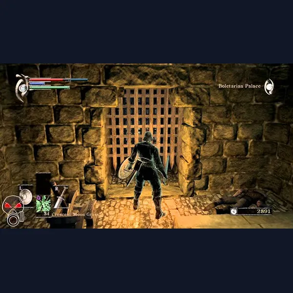 Demon's Souls PC Patched