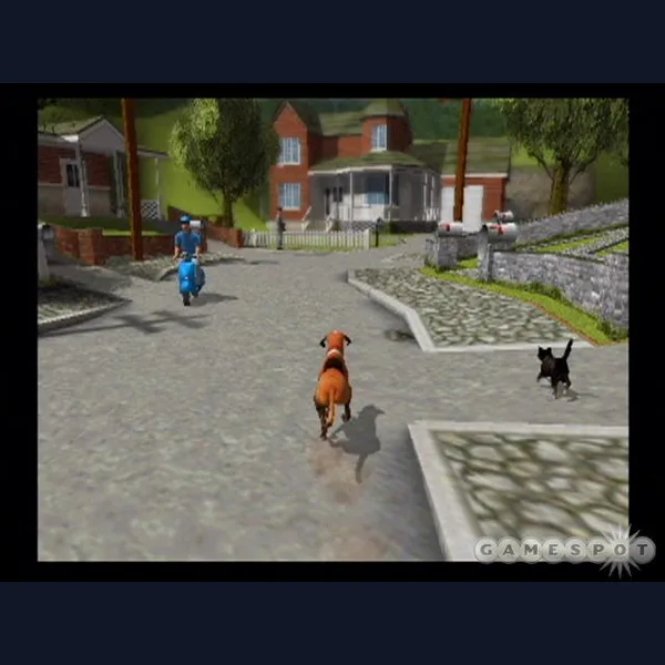 Dog's Life Decompilation