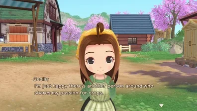 Harvest Moon: A Wonderful Life Decompilation