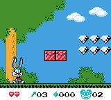 Tiny Toon Adventures DX