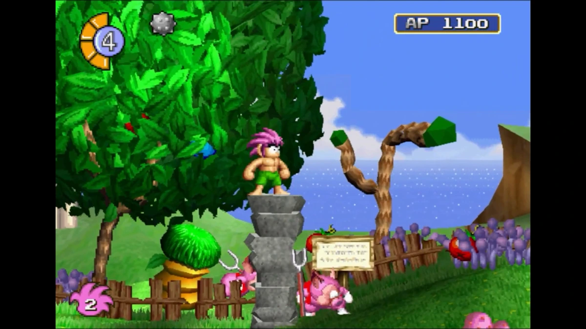 Tomba! Decompilation