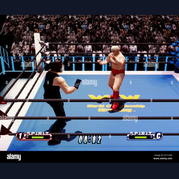 Virtual Pro Wrestling 64 Recompilation