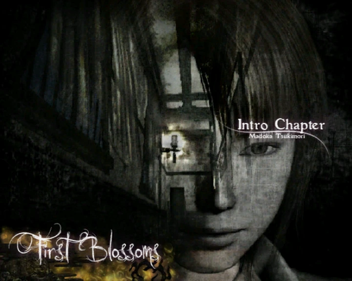 Zero: Tsukihami No Kamen - Wii